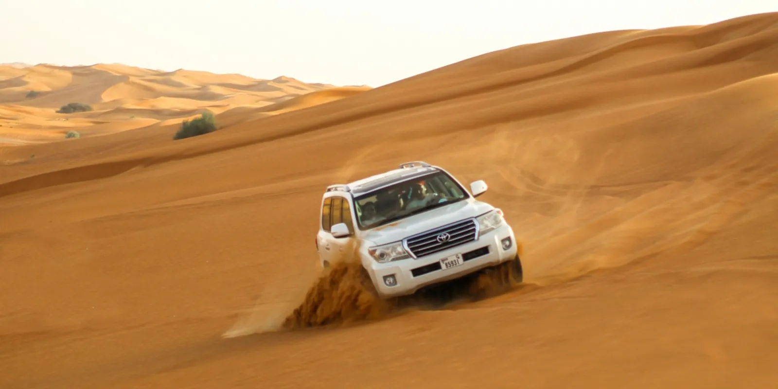 imgi_160_qatar doha desert safari private tour camel ride sandboarding more_KHVYz